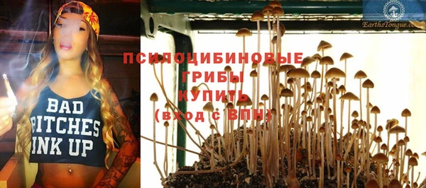 экстази Белокуриха