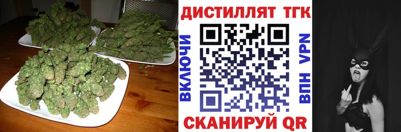 Дистиллят ТГК THC oil  купить наркотики сайты  Магас 