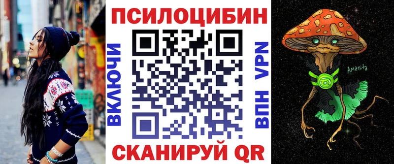 Псилоцибиновые грибы Cubensis Магас
